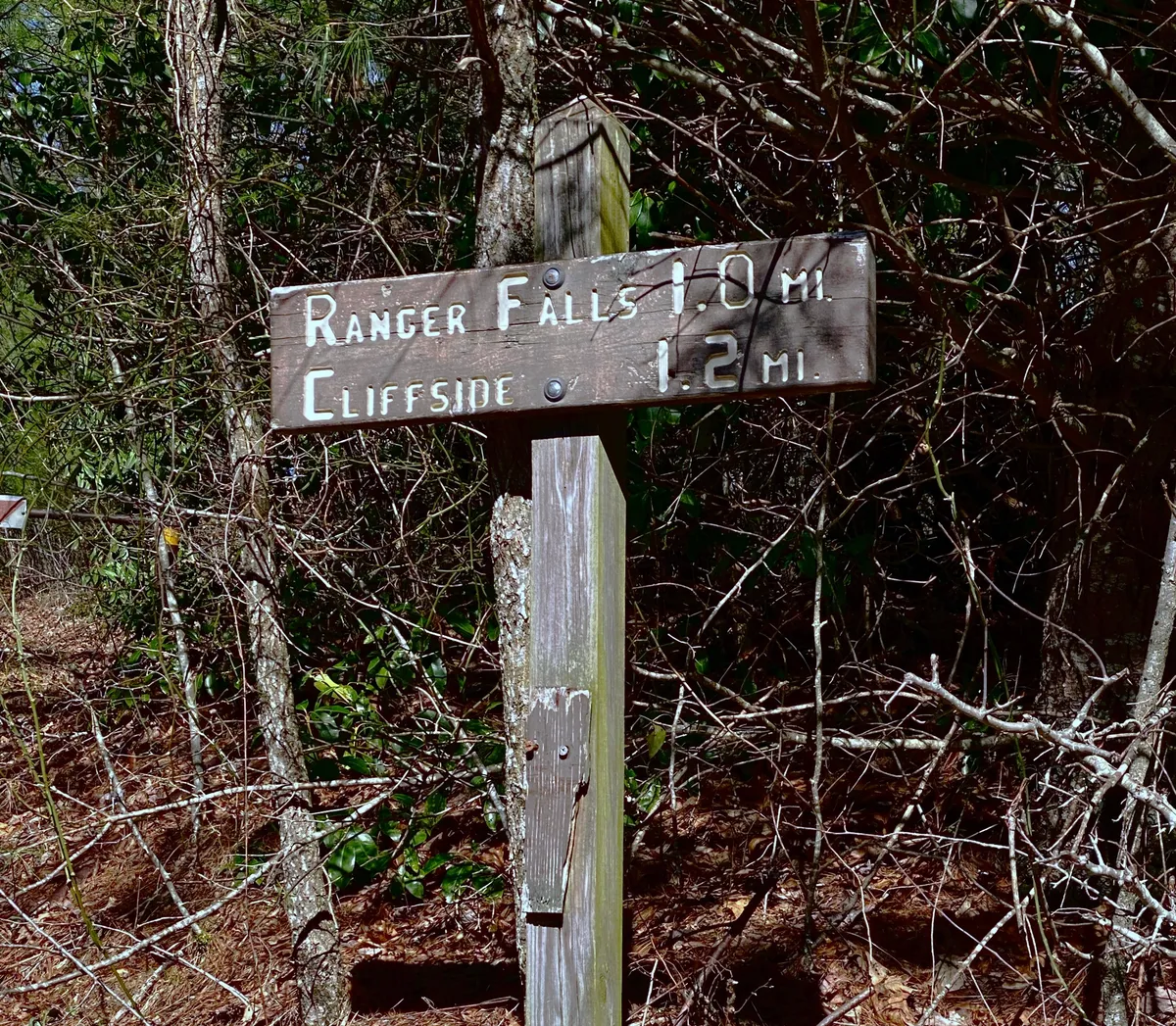 This photo features a wooden signpost set against a backdrop of dense forest, inviting exploration and discovery. The scene evokes a sense of adventure and the promise of hidden gems along the trails, aligning with the idea of immediate access to hiking paths from the property.