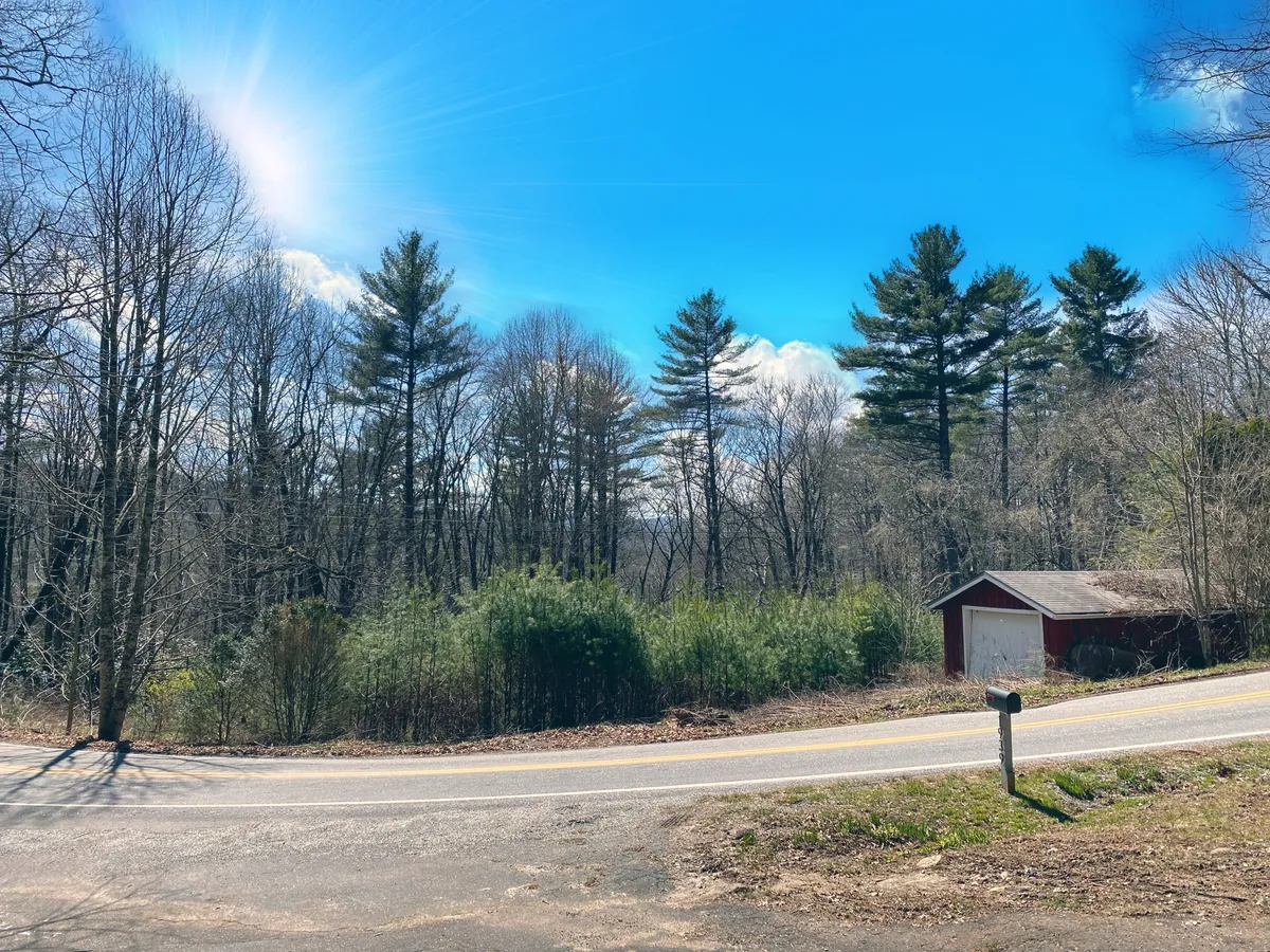 A picturesque scene highlighting tall trees, a red shed, and a curved road—evoking the sense of nearby trails and outdoor adventures. The mood is peaceful, inviting guests to explore nature walks or mountain strolls with their dog.